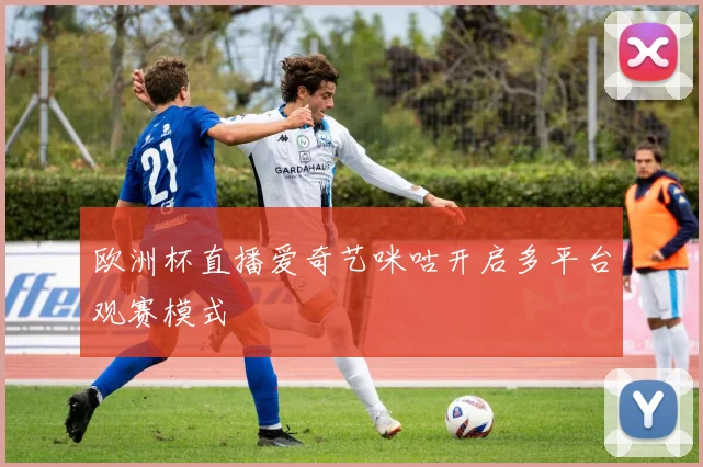欧洲杯直播爱奇艺咪咕开启多平台观赛模式